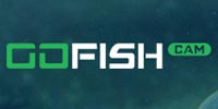  Gofish Cam الرموز الترويجية
